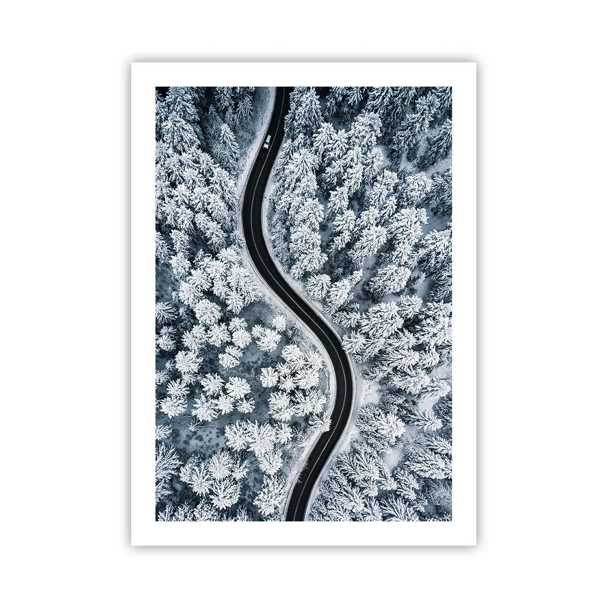 Poster - Prin pădurea de iarnă - 50x70 cm
