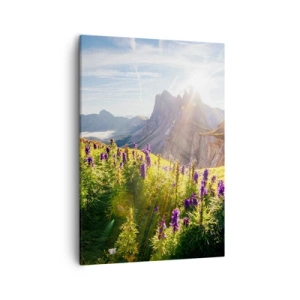 Tablou pe pânză - Viața secretă a ierburilor - 50x70 cm