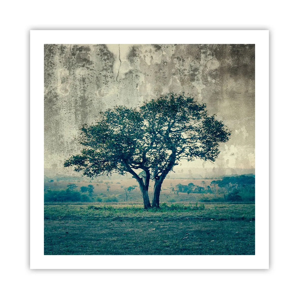 Poster - Un măr pe o pajiște albastră? - 60x60 cm