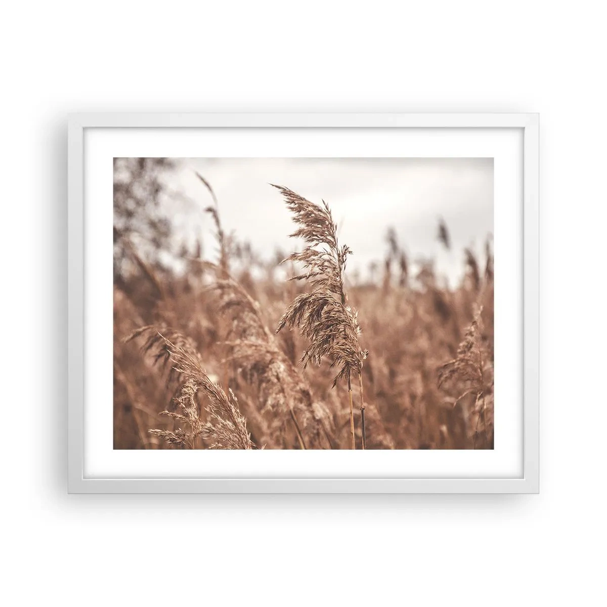 Poster în ramă albă - Toamna pe câmpuri - 50x40 cm