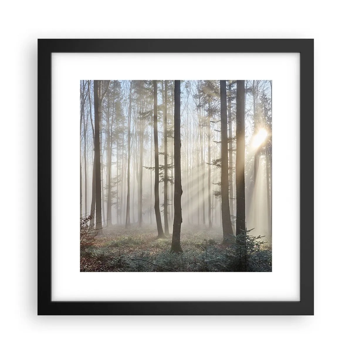 Poster în ramă neagră - Ceața s-a trezit și ea - 30x30 cm