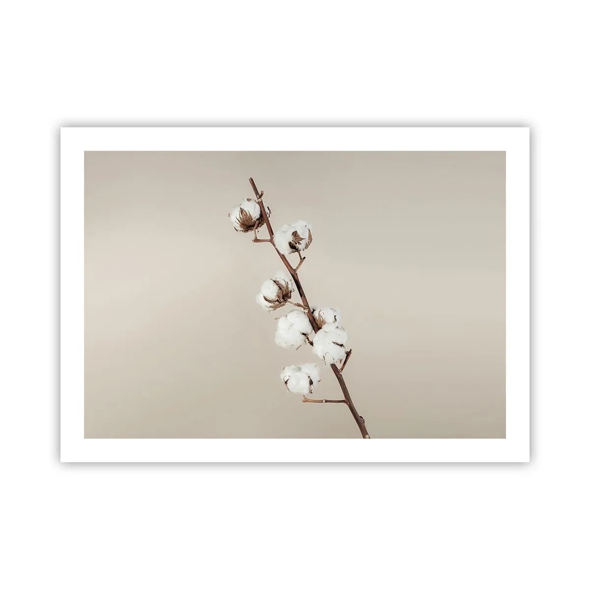 Poster - La sursa moliciunii - 70x50 cm