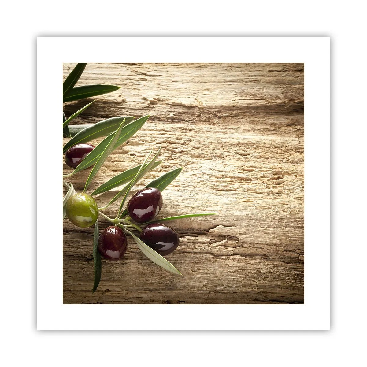 Poster - Direct din natură - 40x40 cm