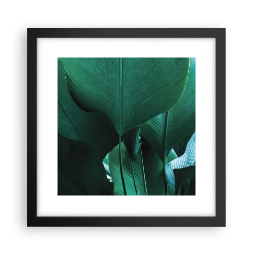 Poster în ramă neagră - Cu frunza la lumină - 30x30 cm