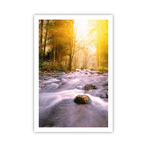 Poster - Malachit în rame de argint și aur - 61x91 cm