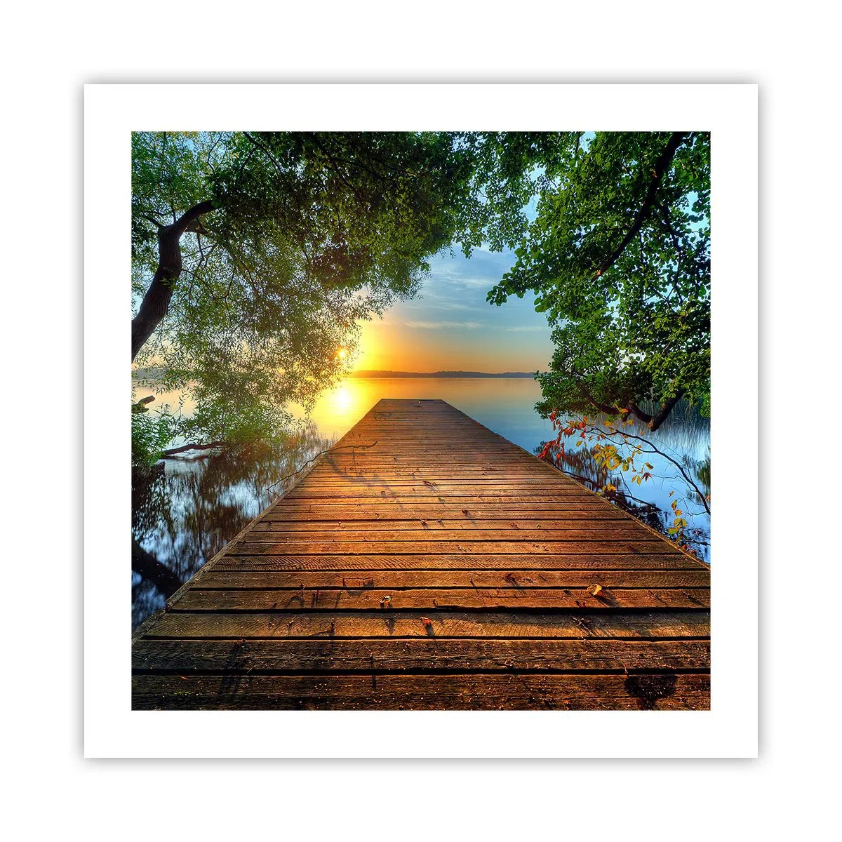 Poster - Nu te grăbi, stai jos - 50x50 cm