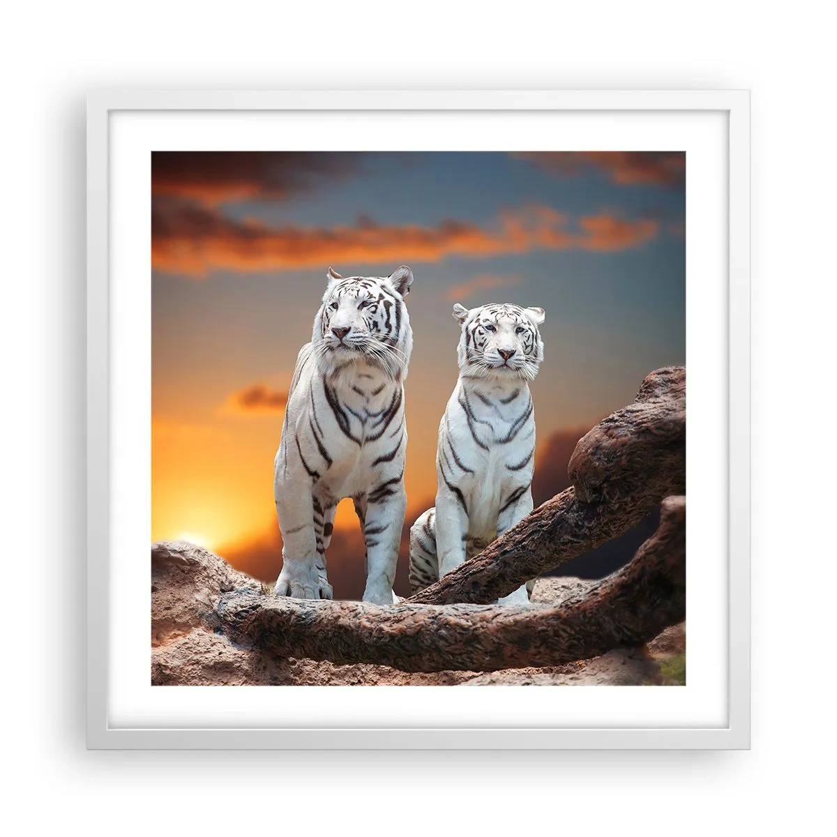 Poster în ramă albă - La fel ca în Narnia - 50x50 cm