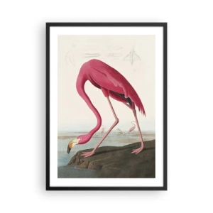 Poster în ramă neagră - Un flamingo roz pe fundalul unui peisaj natural - 50x70cm - O creatură uimitoare - Decorațiune modernă pentru perete pentru living și dormitor ARTTOR