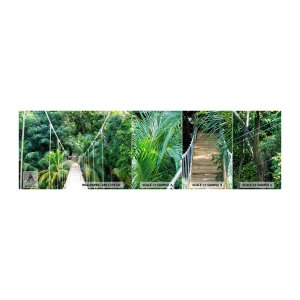 Mostră de Tapet Standard Eco - Welcome to the jungle! - Peisaj, Junglă, Honduras - 100x30 cm