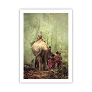 Poster - Noua Carte a Junglei - 50x70 cm