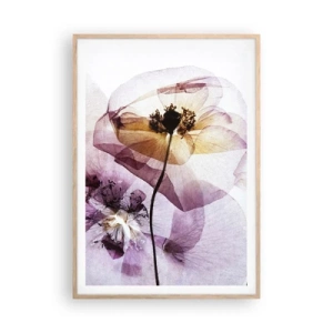 Poster în ramă de stejar deschis - Corp de flori transparente - 70x100 cm