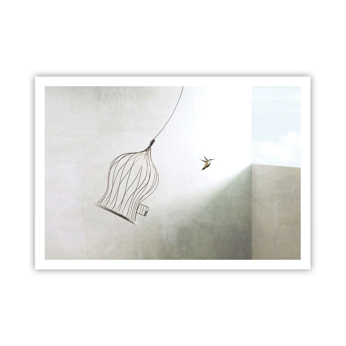 Poster - Eliberat - 100x70 cm