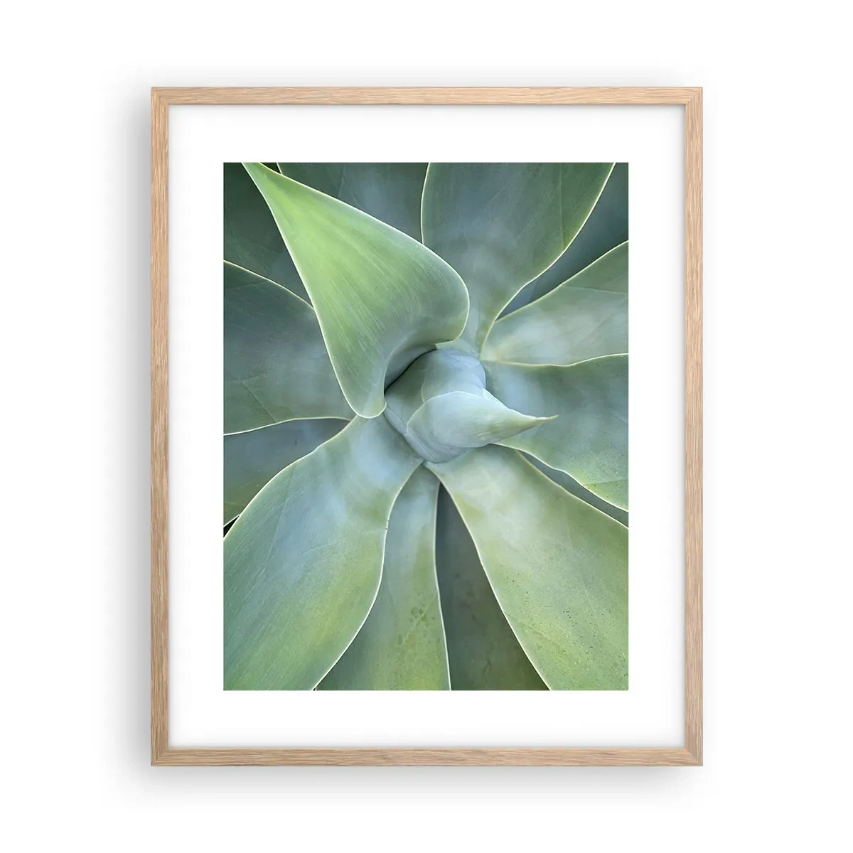 Poster în ramă de stejar deschis - Nașterea verdeții - 40x50 cm