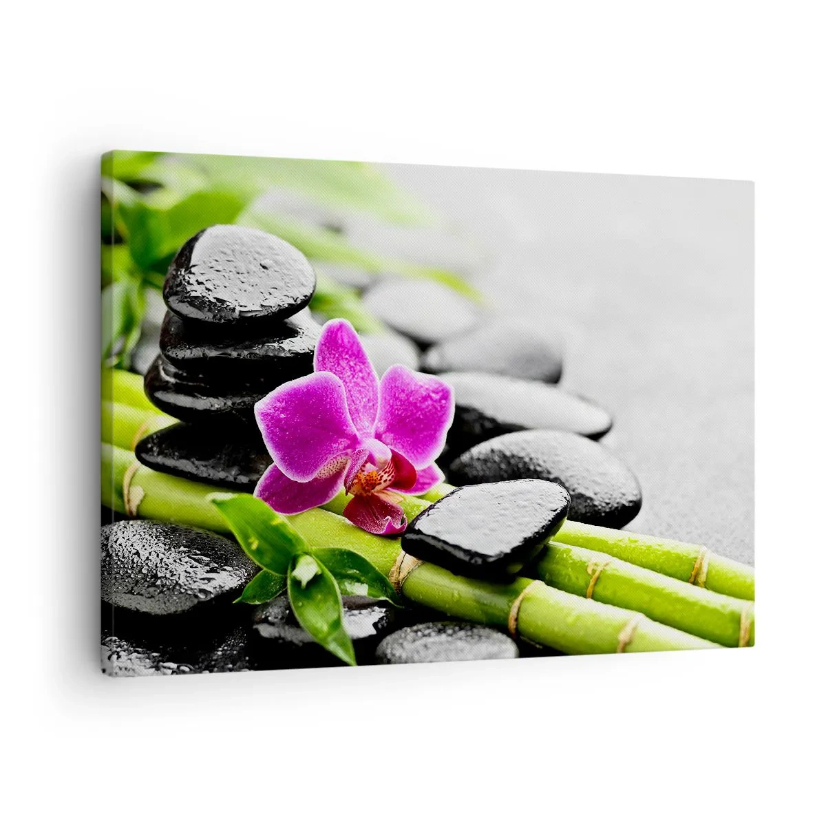 Tablou pe pânză Canvas - Orhidee violetă, pietre negre și bambus într-o compoziție liniștitoare - 70x50cm - Într-un echilibru pașnic - Decorațiune modernă pentru perete pentru living și dormitor ARTTOR