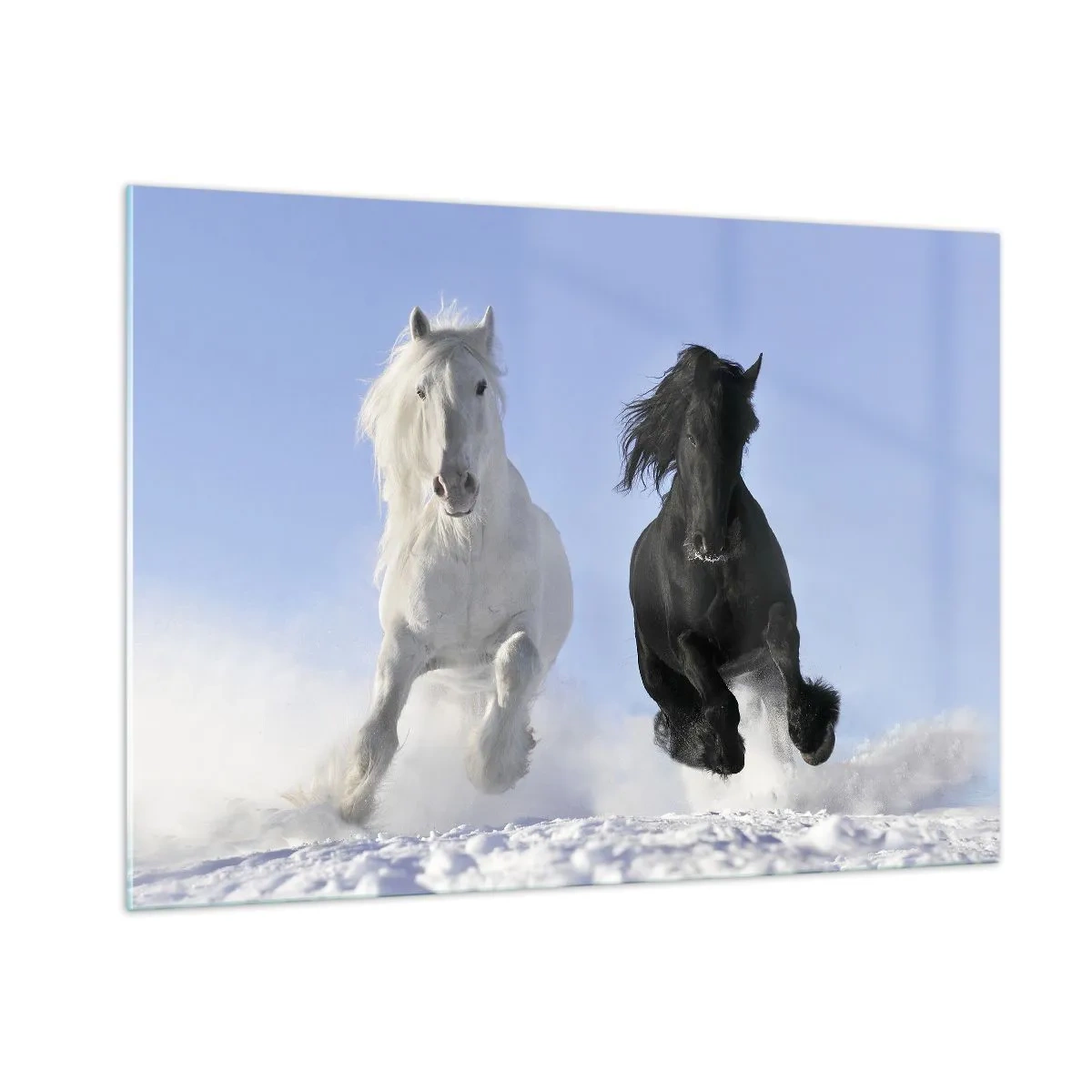 Tablou pe sticlă - Galop de alb și negru - 100x70 cm