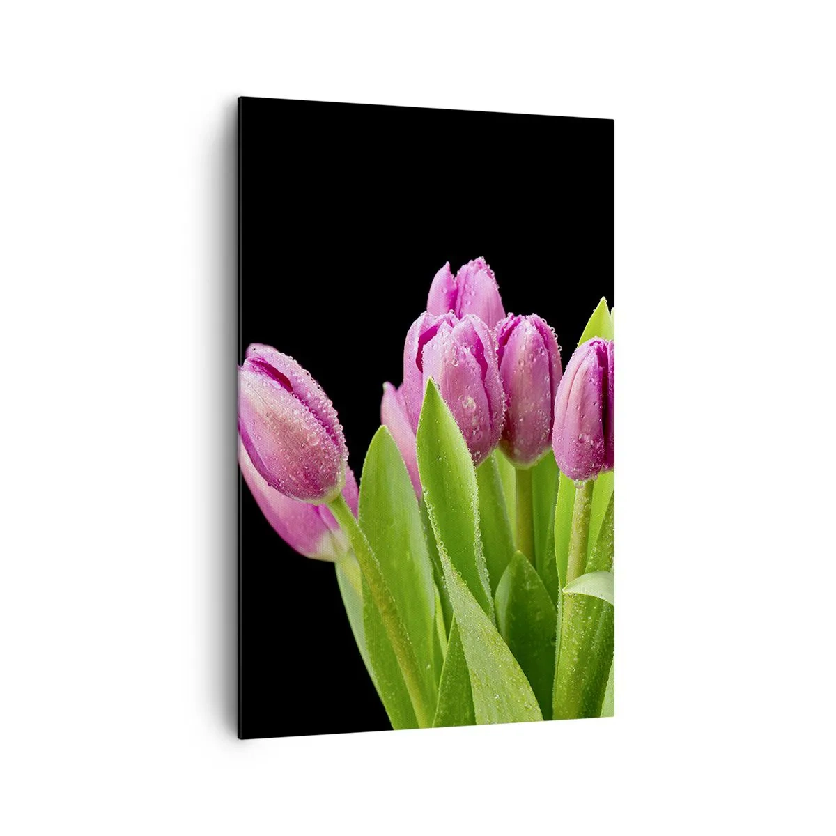 Tablou pe pânză - Bucurie de liliac de primăvară - 80x120 cm