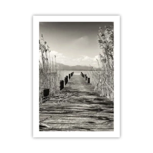 Poster - În intimitatea ierburilor - 50x70 cm