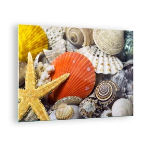 Tablou pe sticlă - Scoici și stele de mare colorate într-o compoziție marină - 70x50cm - Comorile oceanului - Decorațiune modernă pentru perete pentru living și dormitor ARTTOR