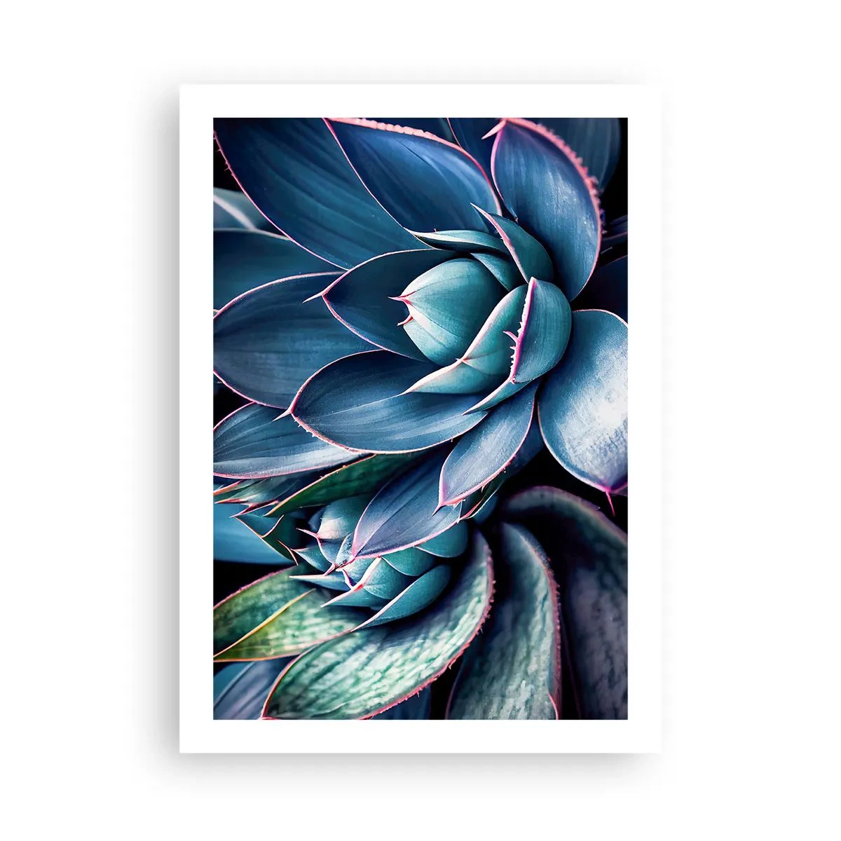 Poster - Forța vitală - 50x70 cm