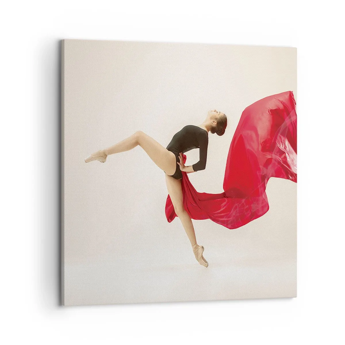 Tablou pe pânză - Roșu și negru - 50x50 cm