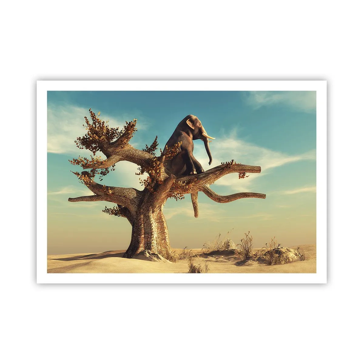Poster - Un nou punct de vedere - 100x70 cm
