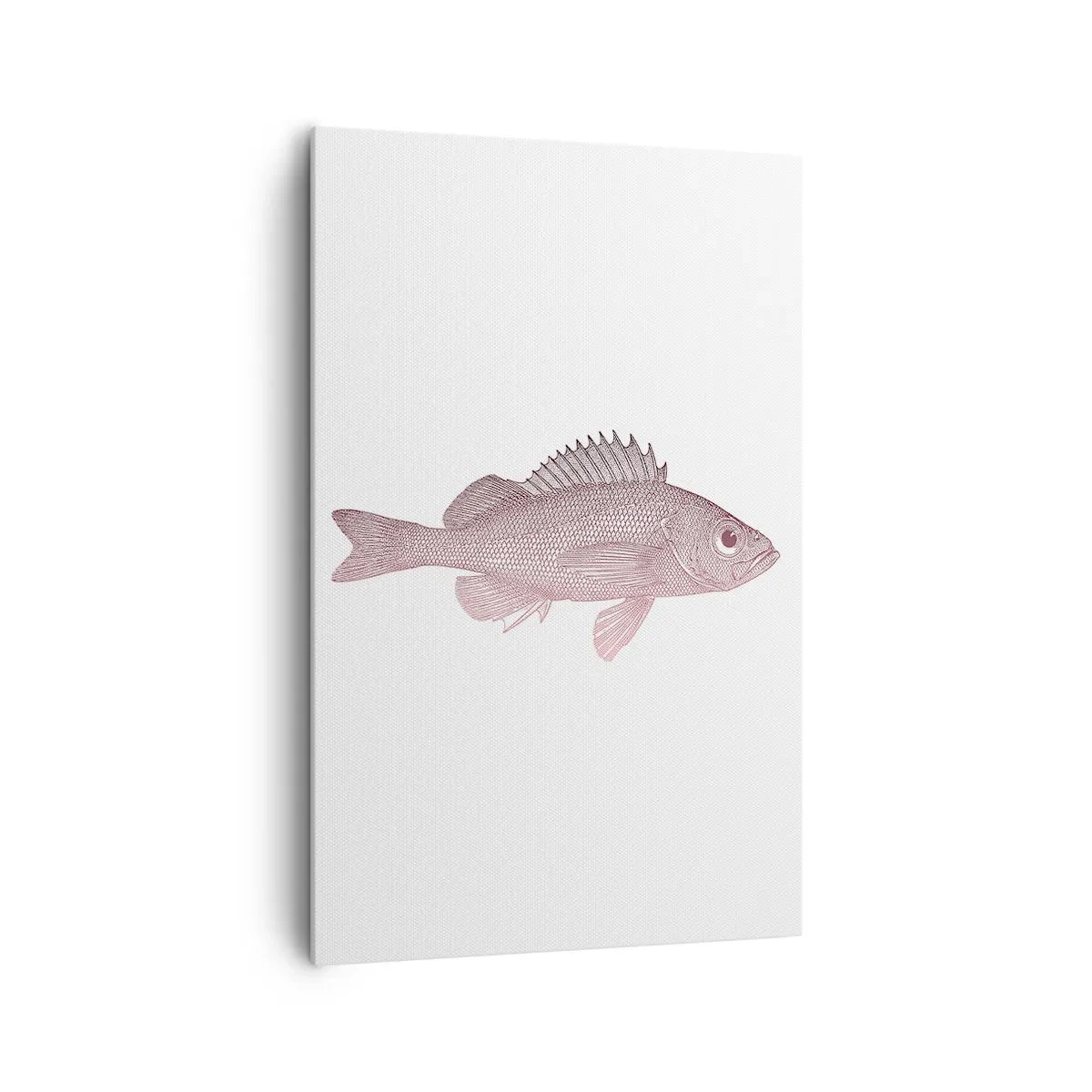 Tablou pe pânză - Pește cu ochi mari - 80x120 cm
