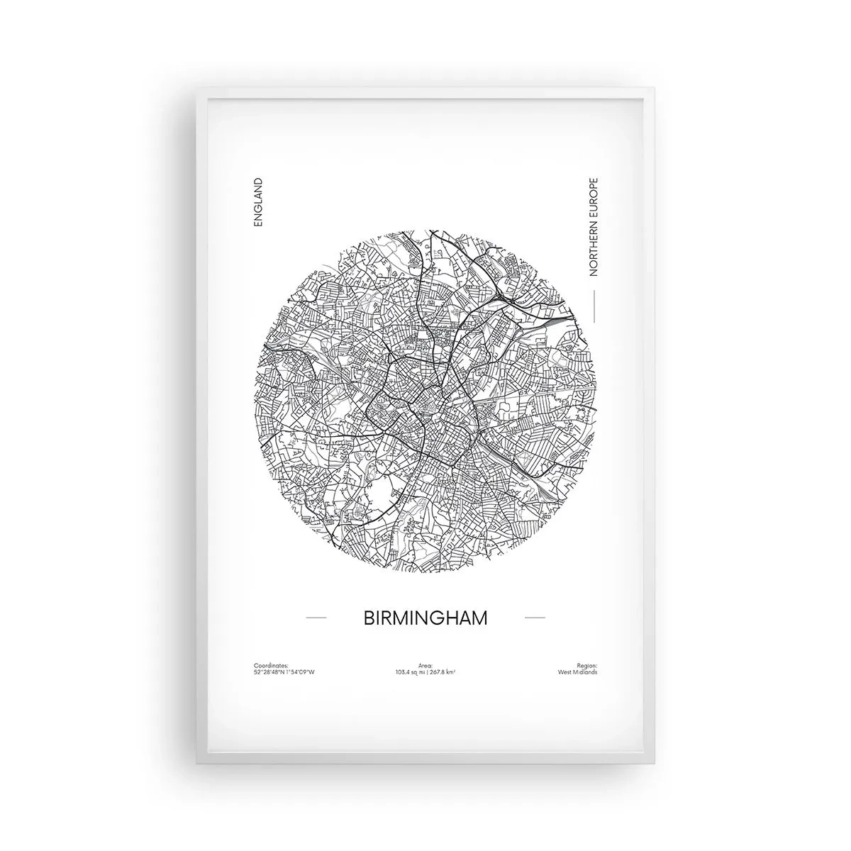 Poster în ramă albă - Anatomia Birmingham - 61x91 cm