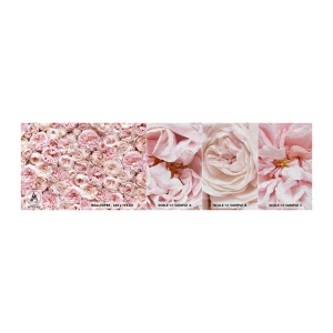 Mostră tapet Premium Canvas - Presărat cu trandafiri - Flori, Pastel, Trandafiri - 100x30 cm