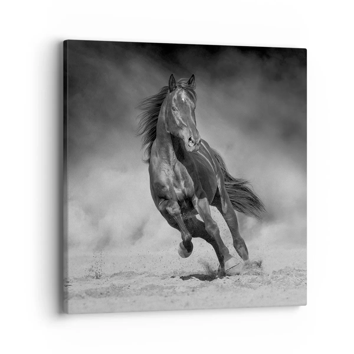 Tablou pe pânză - Dorința emirului - 40x40 cm