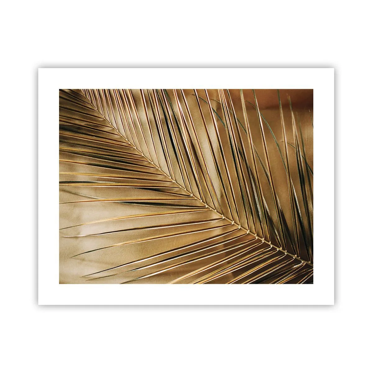 Poster - Colonadă naturală - 50x40 cm