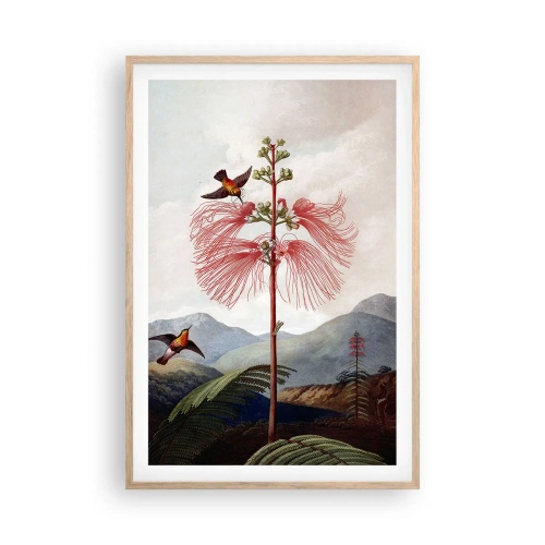 Poster în ramă de stejar deschis - Într-un paradis tropical - 61x91 cm