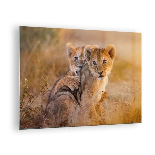 Tablou pe sticlă - Doi pui de leu tineri într-un cadru natural de savană - 70x50cm - Nu deranjați! Ne distrăm - Decorațiune modernă pentru perete pentru living și dormitor ARTTOR