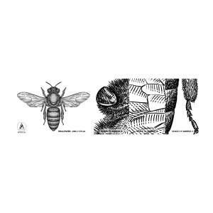 Mostră tapet autocolant Deluxe Sticker - Portret de insectă - Albină, Insectă, Minimalist - 100x30 cm