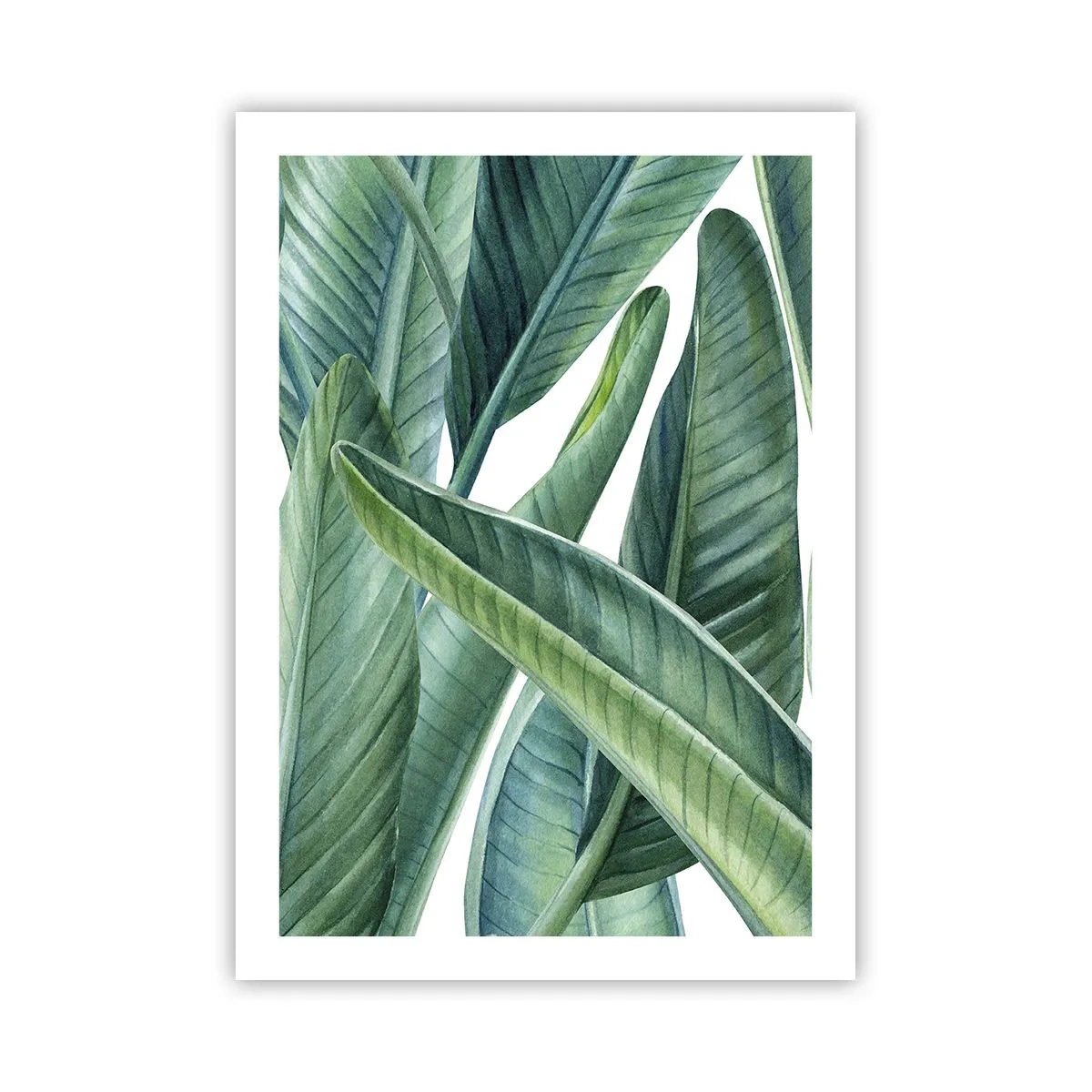 Poster - Verdeața în sine - 50x70 cm