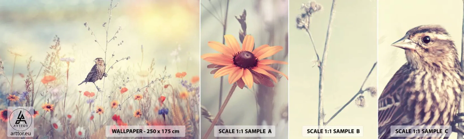 Mostră tapet autocolant Deluxe Sticker - Portret de pasăre cu o pajiște în fundal - Pasăre, luncă, Natură - 100x30 cm