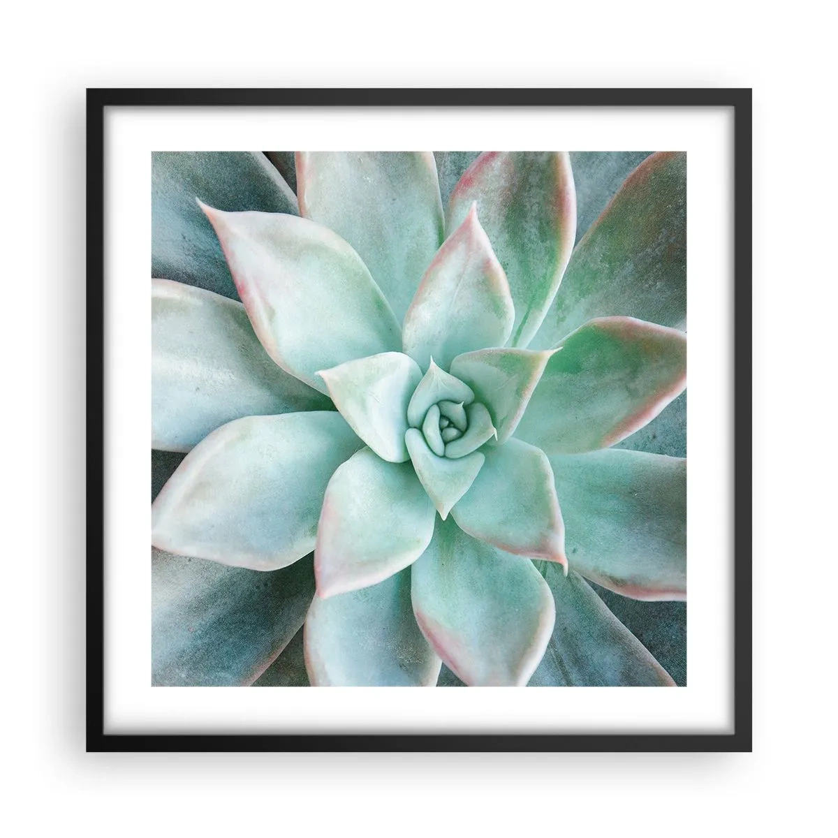 Poster în ramă neagră - Inima deșertului - 50x50 cm