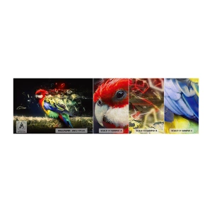 Mostră tapet Premium Canvas - Mesagerul strălucirii - Abstracția, Papagal, Pasăre - 100x30 cm