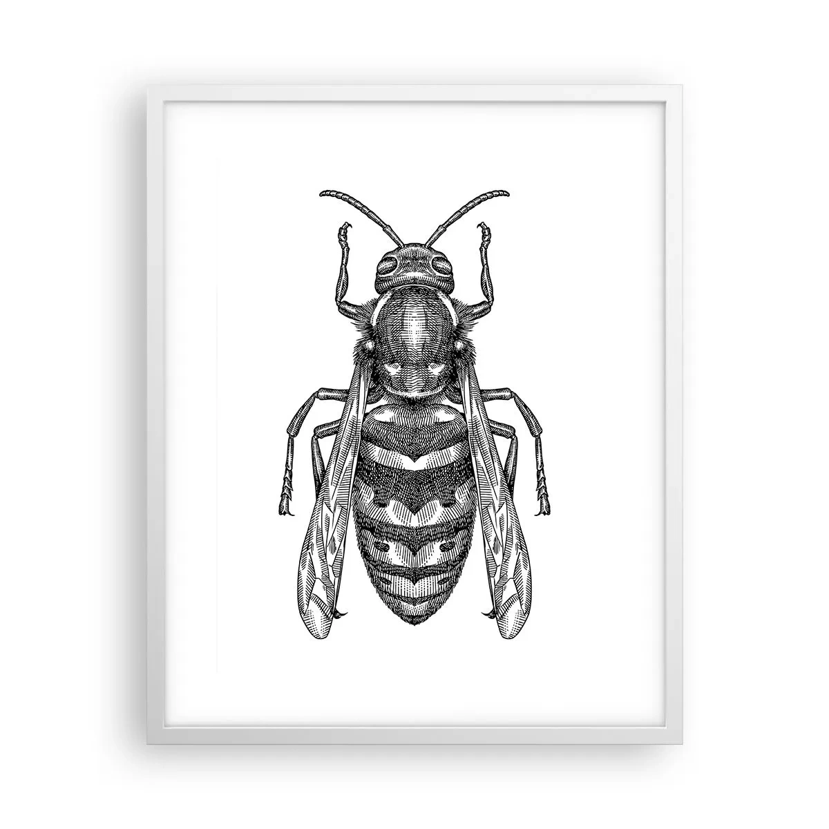 Poster în ramă albă - De pe o planetă de insecte - 40x50 cm