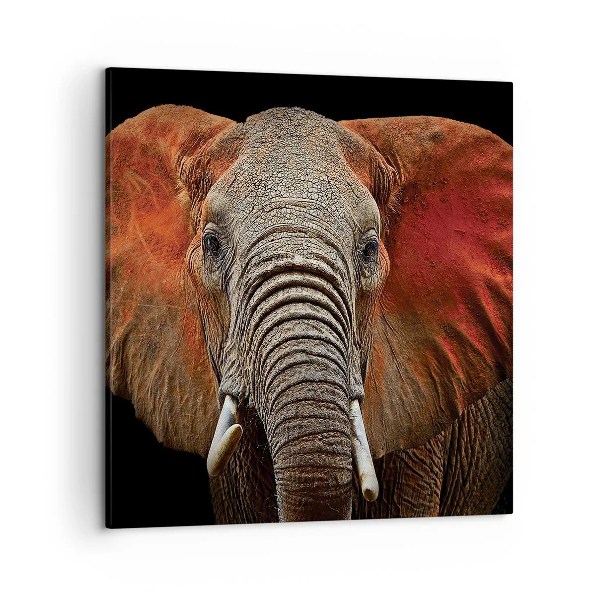 Tablou pe pânză - Sunt sălbatic, și tu? - 50x50 cm