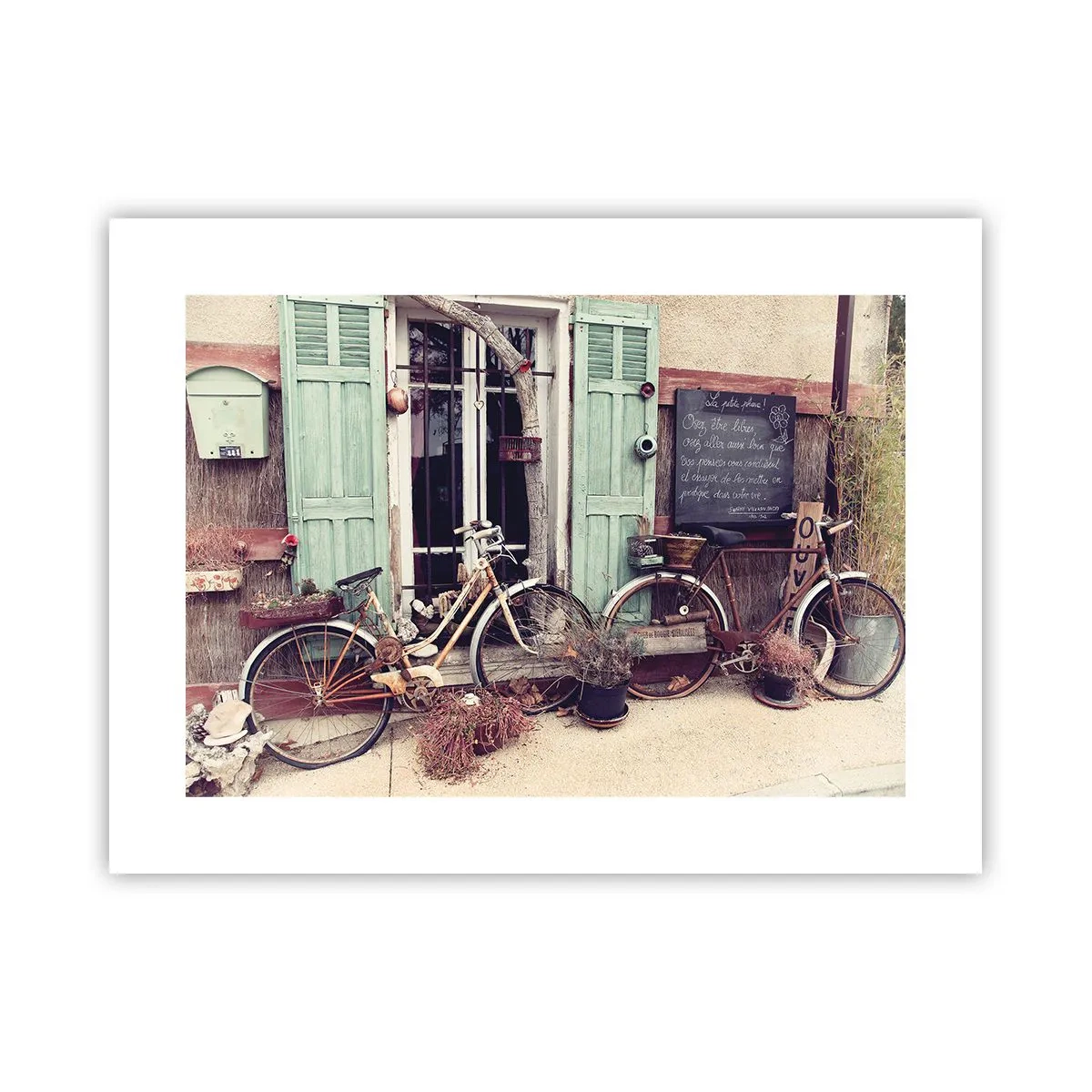 Poster - Trăiască provincia! - 40x30 cm