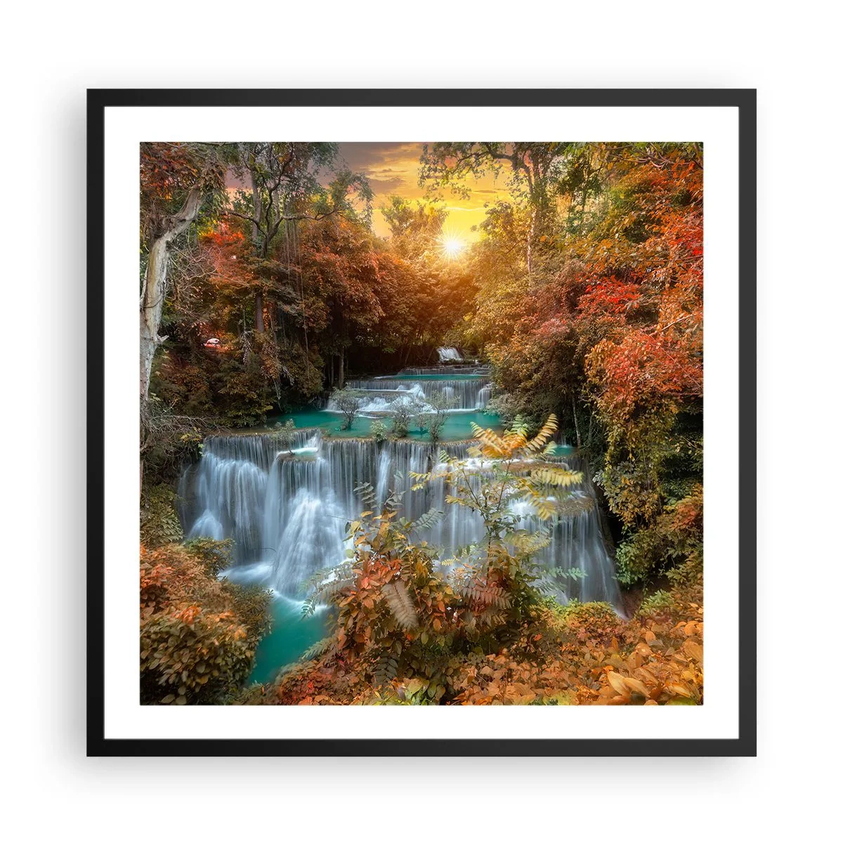 Poster în ramă neagră - Comoara ascunsă a pădurii - 60x60 cm