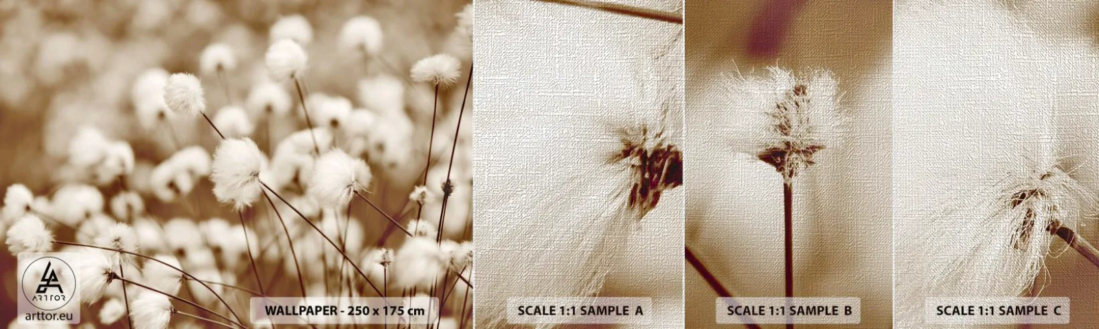 Mostră tapet Premium Canvas - Câmp pufos - Floare de bumbac, Floare, Crenguta de bumbac - 100x30 cm