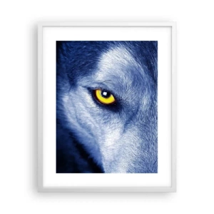 Poster în ramă albă - O privire hipnotizantă - 40x50 cm