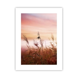 Poster - Zmeuri, suflante, vânt - 30x40 cm