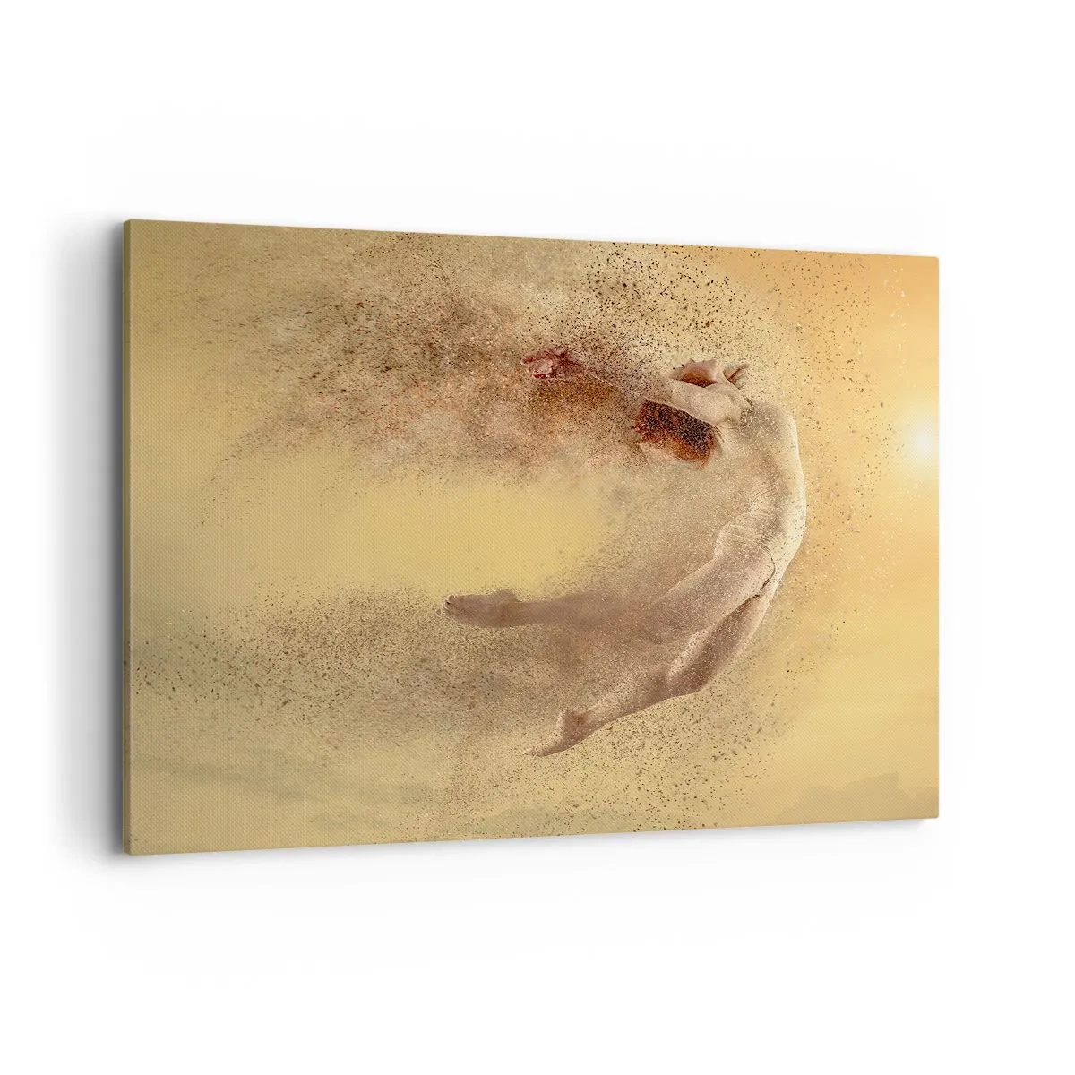 Tablou pe pânză - În exaltare de dans - 100x70 cm