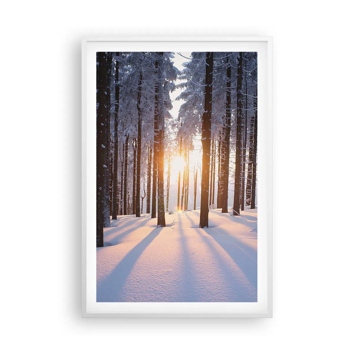 Poster în ramă albă - În mod clar în alb și negru - 61x91 cm