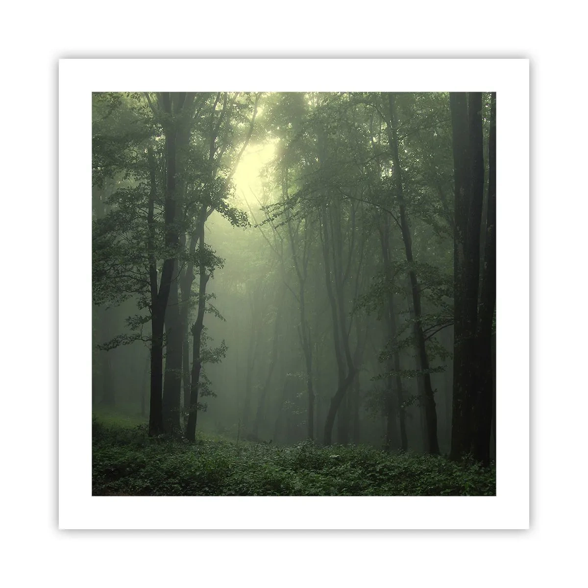 Poster - Înainte să se trezească - 50x50 cm