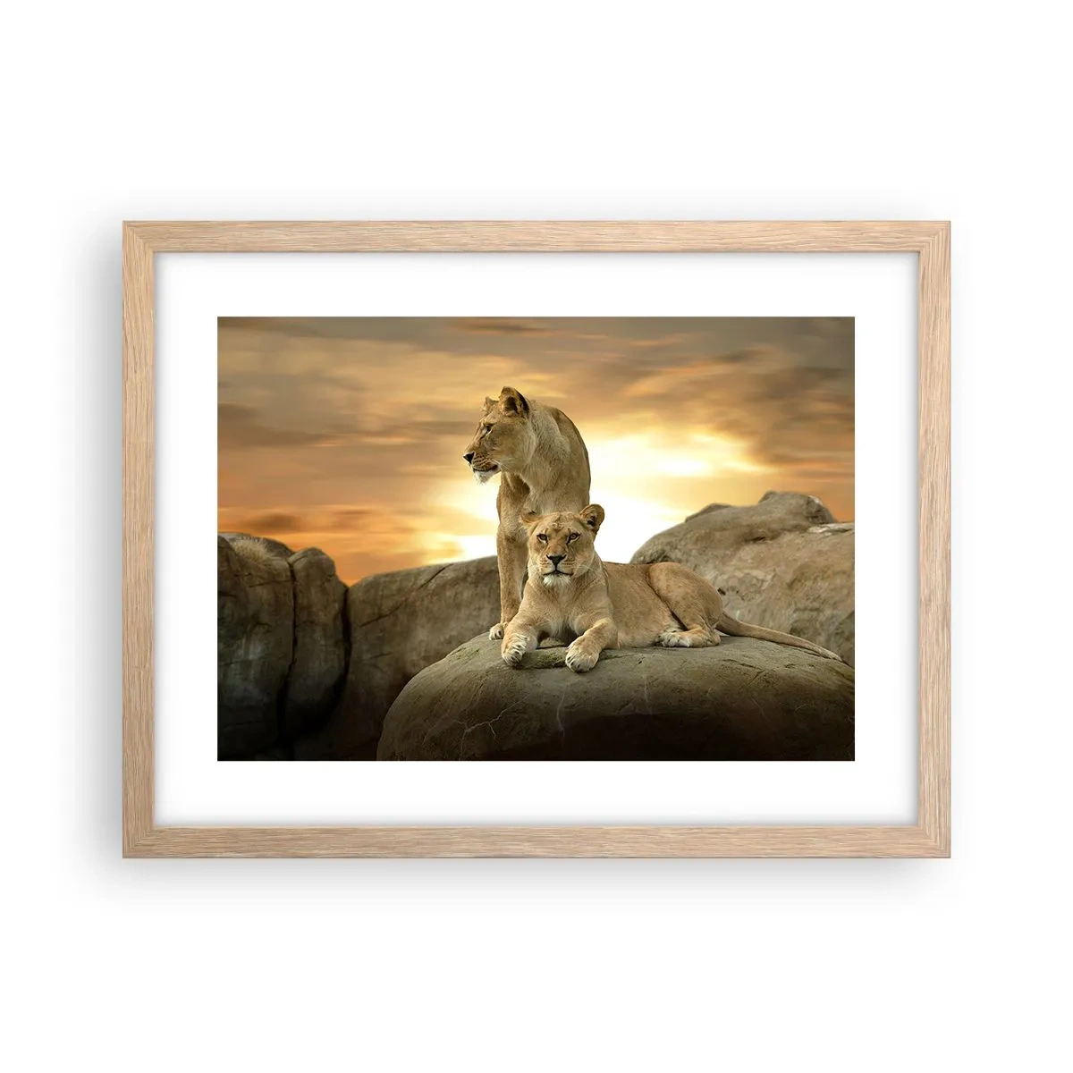 Poster în ramă de stejar deschis - Maiestate regală - 40x30 cm