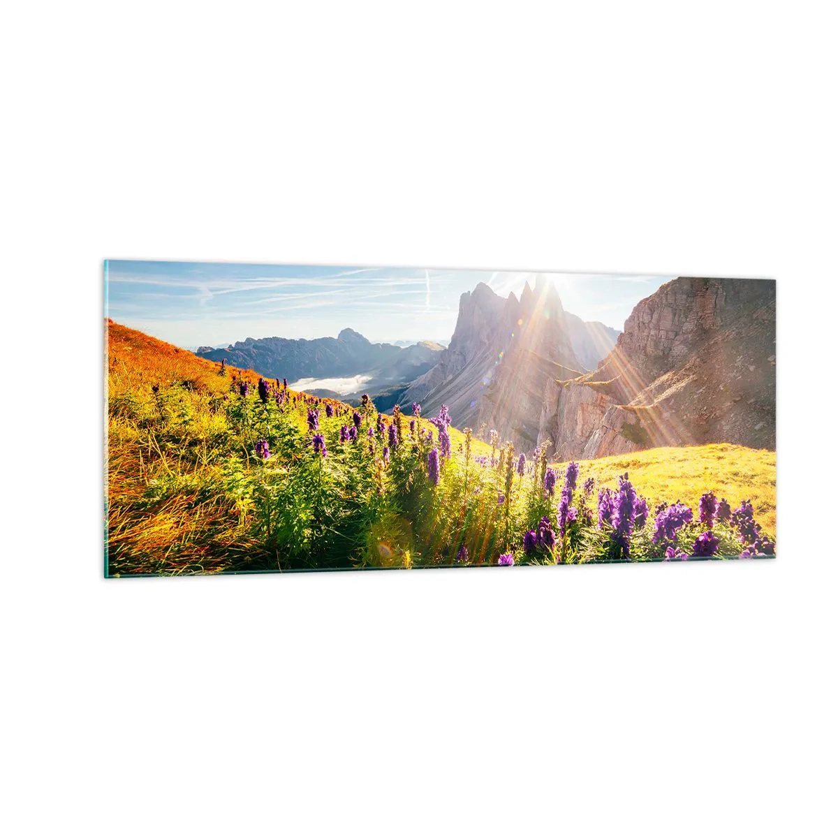 Tablou pe sticlă - Viața secretă a ierburilor - 100x40 cm