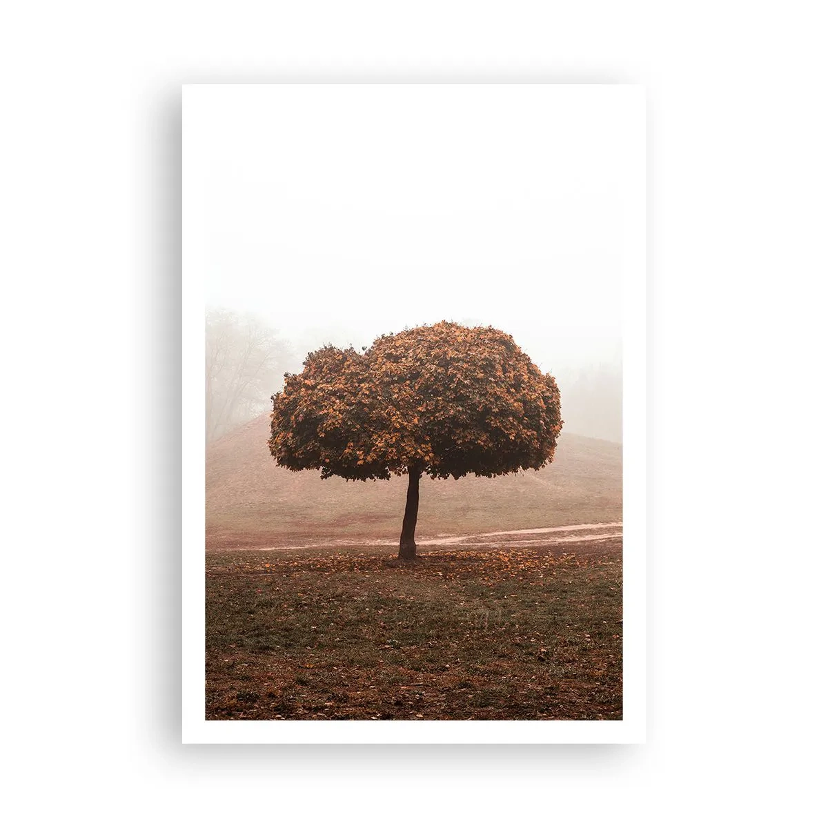 Poster - După o vară aglomerată - 70x100 cm